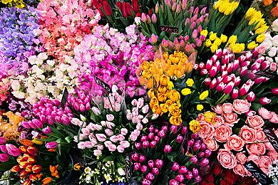 Xbox Series X＆S在英国销量成功超过100万台